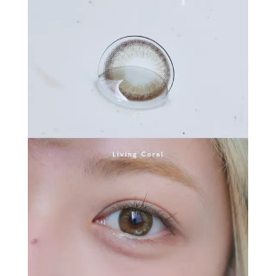 星歐 1Day 星空系列 Living Coral